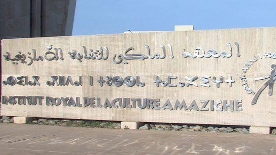 الجائزة الوطنية للثقافة الأمازيغية 2021: المعهد الملكي يعلن فتح باب التقديم