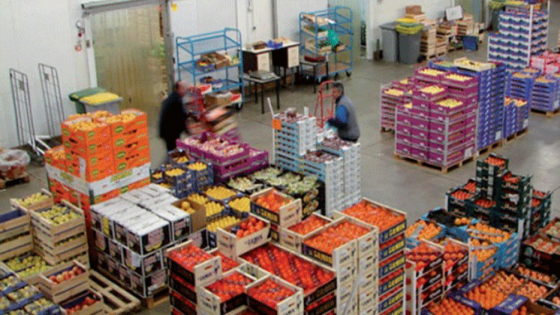 المنتجات الزراعية الغذائية: تصدير أكثر من 68 مليار درهم خلال حملة 2021-2022