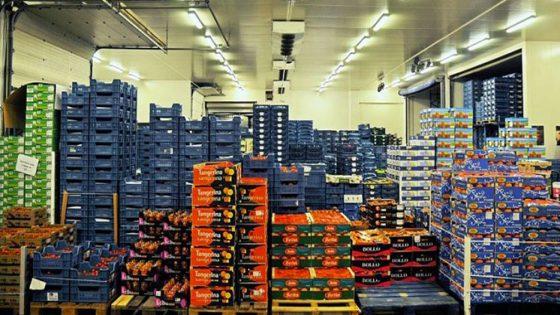 كل ما يتعلق بالمنتجات المستوردة والمصدرة في نهاية فبراير 2022