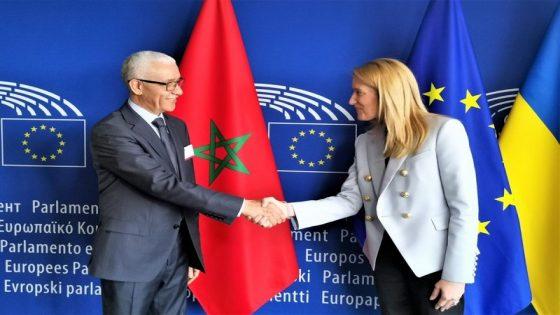 العلمي يترأس الجمعية البرلمانية للبحر الأبيض المتوسط