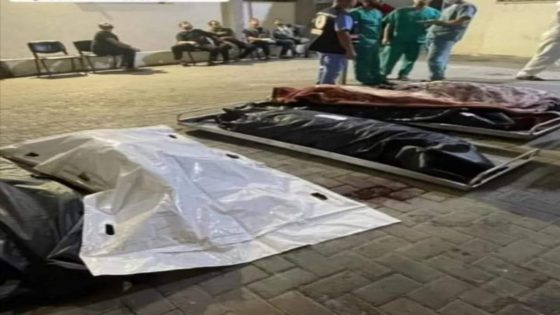 حكومة حماس تعلن عن ارتفاع حصيلة الحرب على غزة إلى 11320 شهيدا