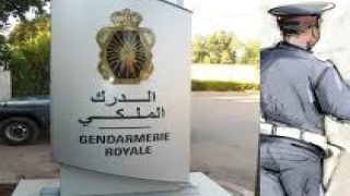 الدرك الملكي بتارودانت يفكك شبكة إجرامية متخصصة في سرقة الضيعات والمزارع