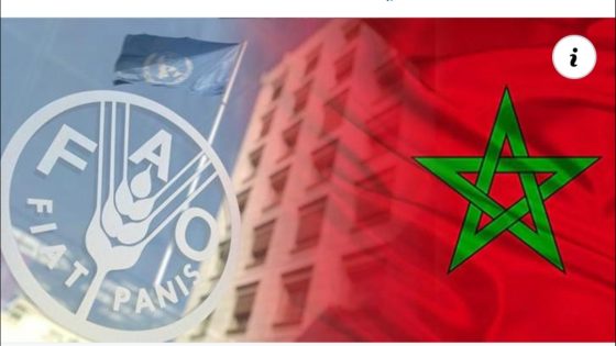 إعادة انتخاب المغرب في مجلس إدارة برنامج الأغذية العالمي بروما