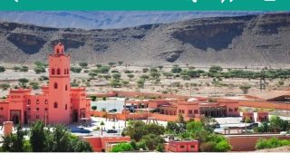 طمأنة رسمية بشأن غابات الأركان باشتوكة أيت باها: لا وجود لأي مرض وبائي والوضع تحت السيطرة