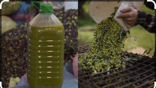 الدارك الملكي يُفشل تسويق كميات كبيرة من زيت الزيتون غير الصالح للاستهلاك