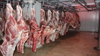 المرصد المغربي لحماية المستهلك يدق ناقوس الخطر: غموض يلف تسويق اللحوم الحمراء وحقوق المستهلك في مهب الريح