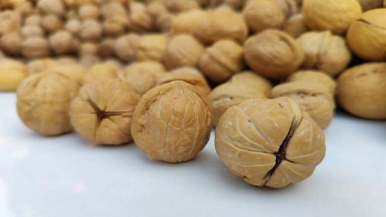 تناول الجوز يقلل الالتهابات ويقي من سرطان القولون