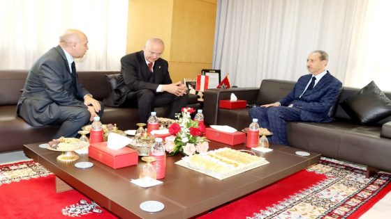الداكي يستقبل رئيس المحكمة العليا لجمهورية النمسا لتعزيز التعاون القضائي بين البلدين