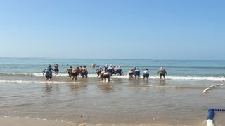 العثور على حطام دراجة مائية قبالة الصويرة يعيد ملف السائح البريطاني المفقود إلى الواجهة