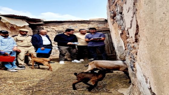 أكادير إداوتنان : انطلاق عملية إحصاء القطيع تنفيذا للتعليمات الملكية السامية