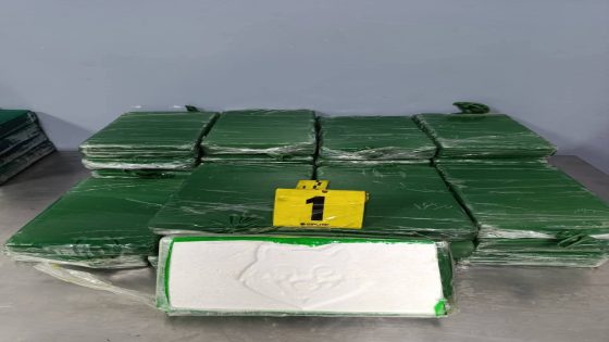 إحباط محاولة تهريب 52 كيلوغرامًا من الكوكايين عبر ميناء طنجة المتوسط