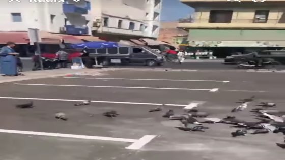 إنزكان : ساحة بئر إنزران من معلمة إلى مربد والمجلس البلدي في قفص الاتهام