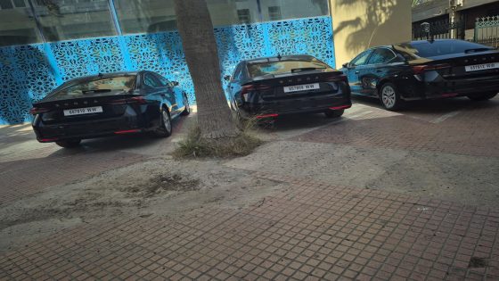 صفقة سيارات جهة سوس ماسة.. بين شبهة تضارب المصالح ومقتضيات الشفافية القانونية