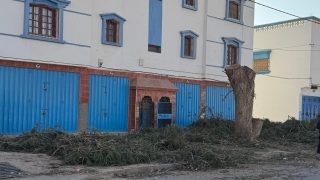 كارثة بيئية صامتة على الطريق 1001 بأورير: الأشجار تُقطع… والطبيعة تستغيث