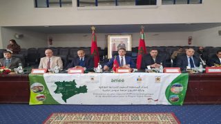 ولاية جهة سوس ماسة تحتضن ورشة جهوية كبرى لتعزيز النجاعة الطاقية وتسريع إزالة الكربون