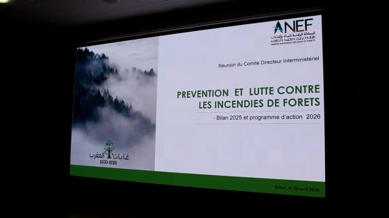 المغرب يرفع درجة التأهب لموسم حرائق الغابات 2026 ويعبئ 150 مليون درهم لحماية الثروة الغابوية