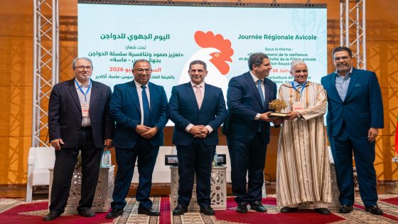 أكادير : تحتضن لقاءً جهوياً لتعزيز تنافسية قطاع الدواجن ومواجهة تحديات الإنتاج