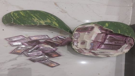 طنجة : تفكيك شبكة دولية لتهريب المخدرات وحجز 700 كيلوغرام من الشيرا في عملية أمنية نوعية