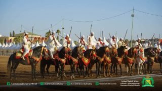 الدشيرة الجهادية تحتفي بفن التبوريدة في الدورة الـ19 للمهرجان الوطني للفروسية التقليدية